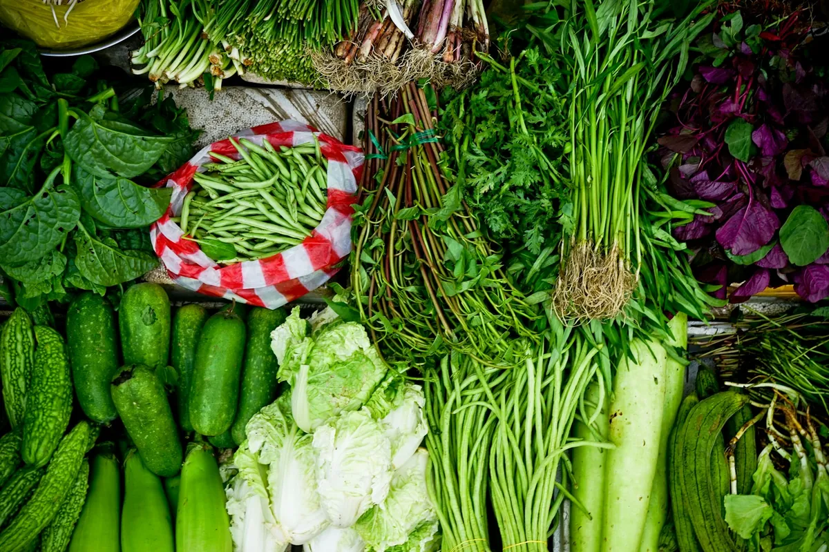 Bok choy with white stems and dark leaves