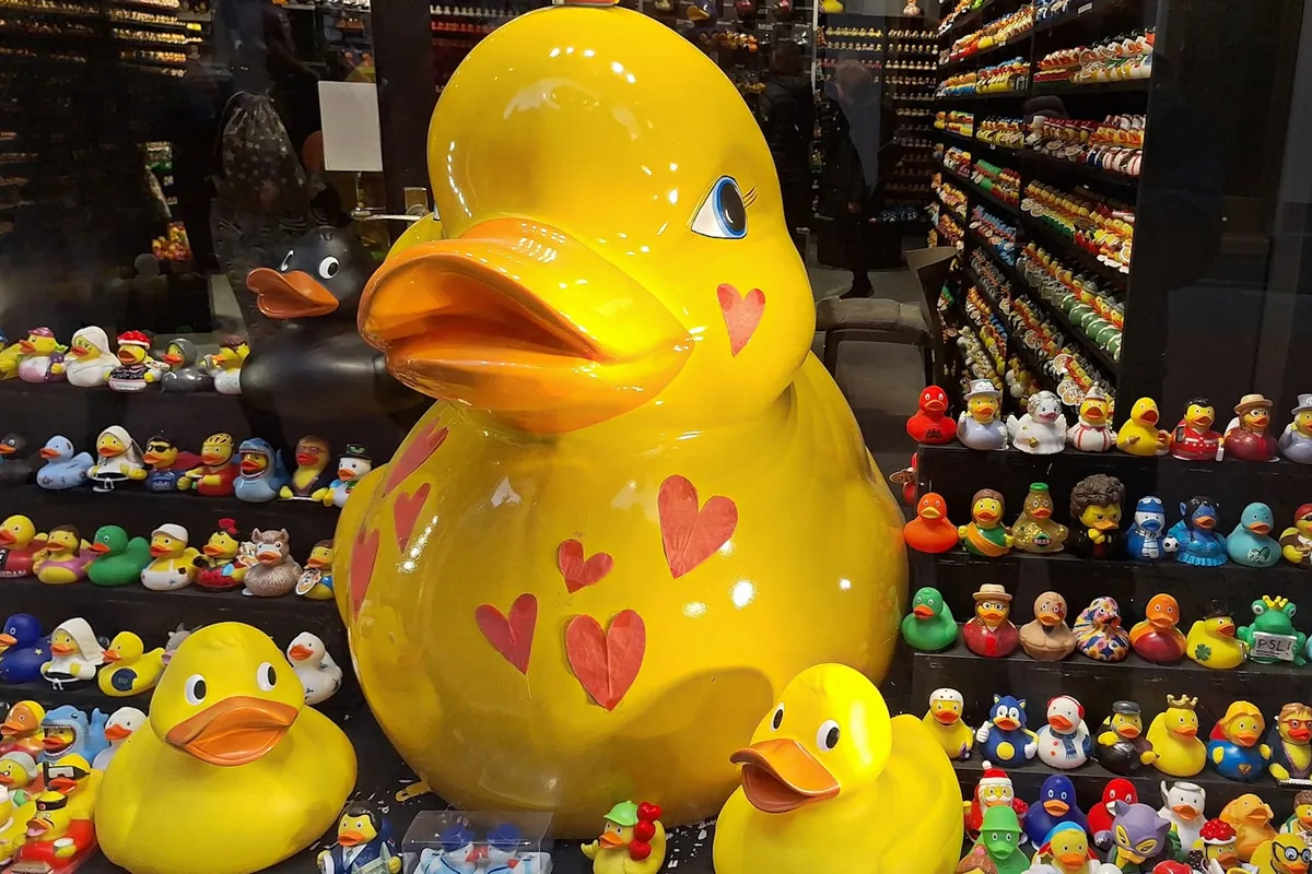 Ducks hanging in a shop window