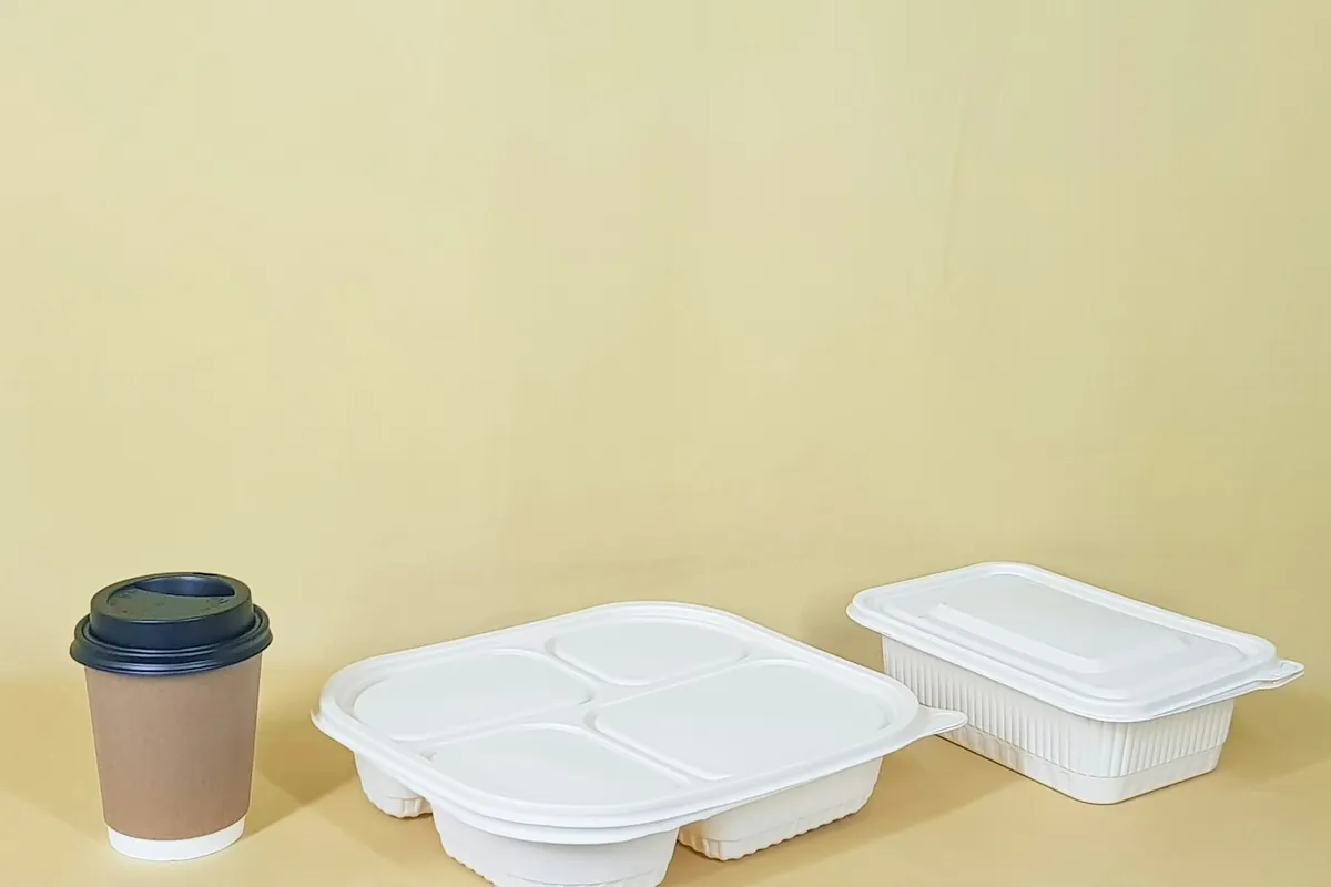 Plastic takeout tubs with lids