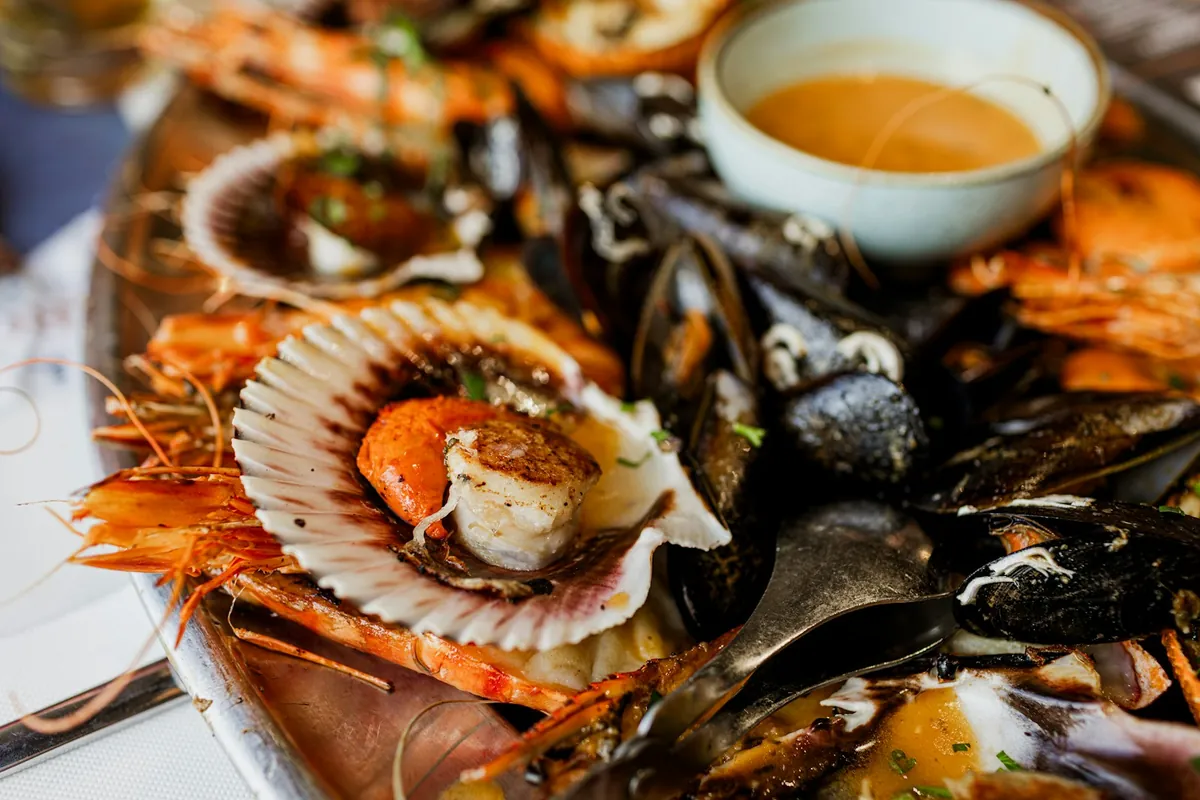 Scallops served in a prepared dish