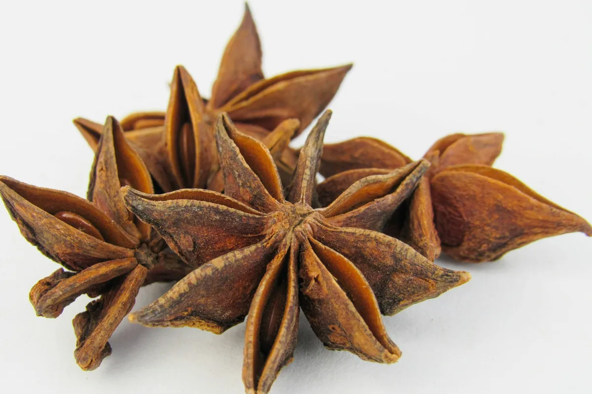 Whole star anise pods
