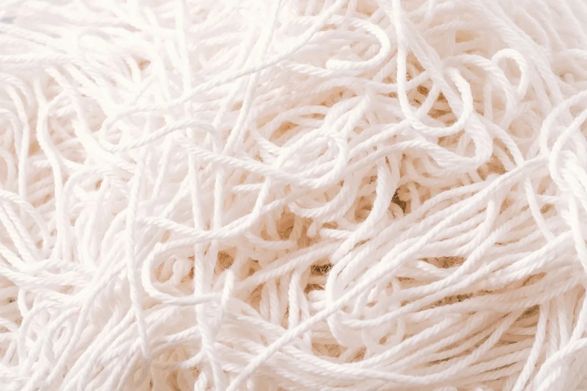 Wheat noodles beside thin rice noodles